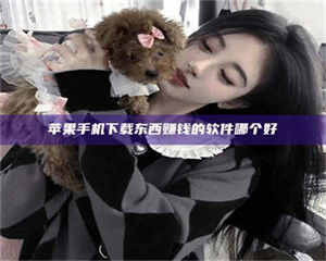 三沙苹果手机下载东西赚钱的软件哪个好 第1张